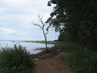 Naturomgivelserne fejler bestemt ikke noget
