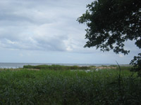 Fjordudsigten er i top